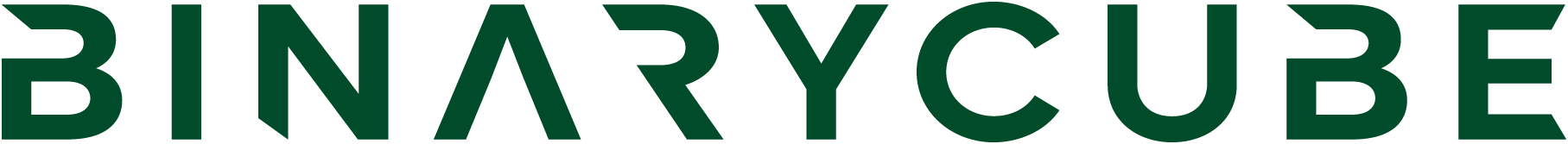 Binarycube Logo